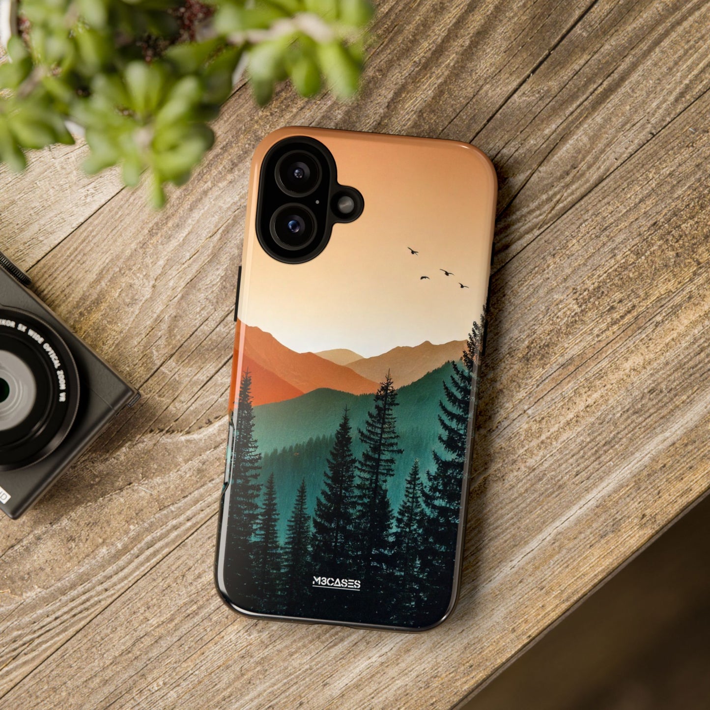 Forest Fade